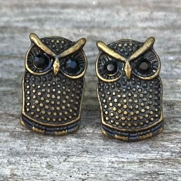 NEW NWT Nordstrom Stephan & Co Owl & Wood Circle Stud Earrings. - Picture 4 of 7